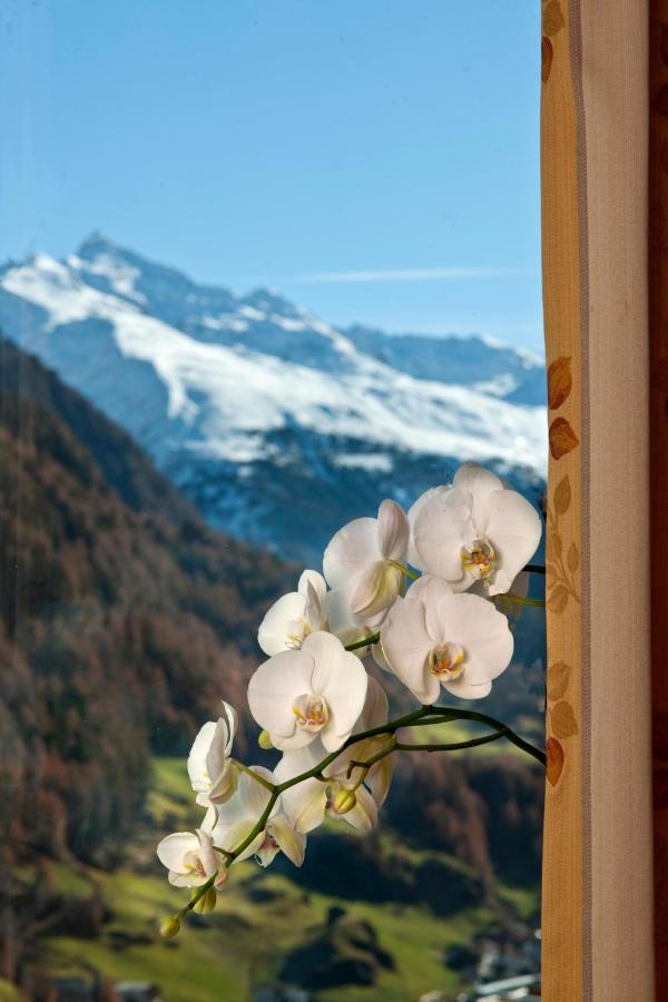 Alp Resort Tiroler Adler เซิลเดน ภายนอก รูปภาพ
